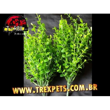 Planta Artificial - Croton Salvinia