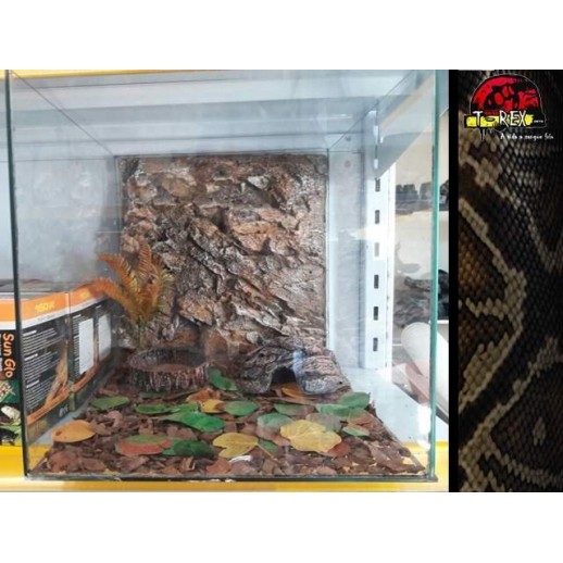Mini-Habitat Floresta 