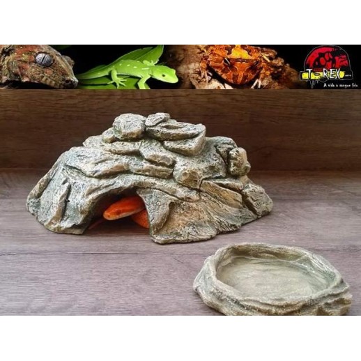 Toca Média para Répteis TM-01 Terrário | Pogona | Gecko