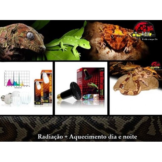 Lâmpadas para Réptil Pogona e Pedra Aquecida