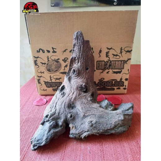 Tronco Natural 01