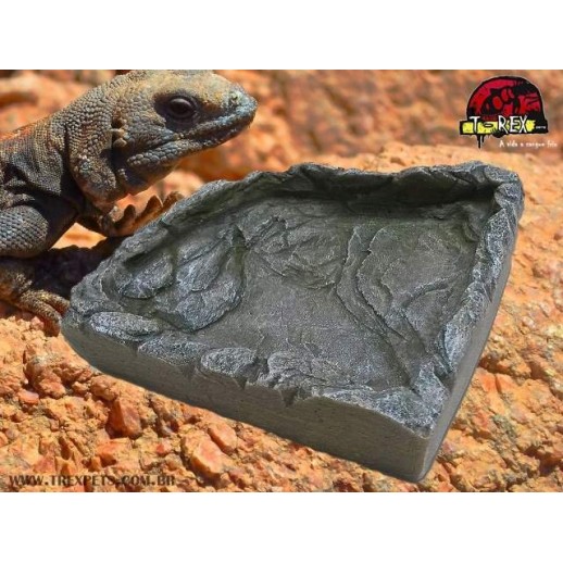 African Rock I Répteis | Iguana | Jabuti | Corn Snake 