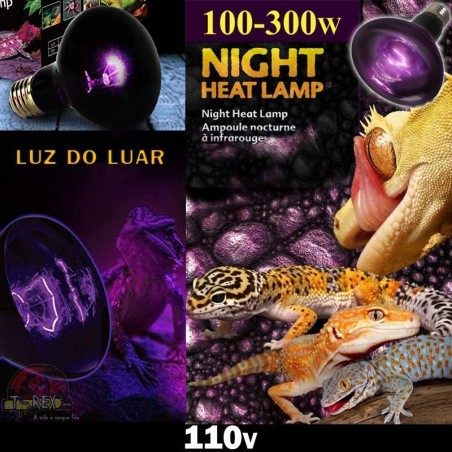 lampada aquecimento noturno repteis