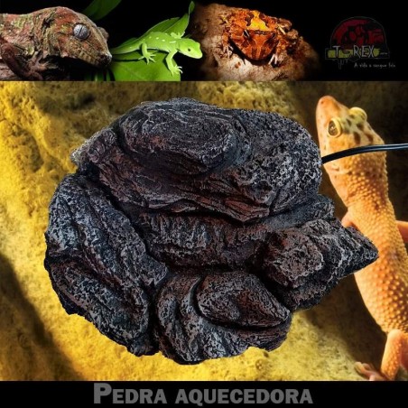 Pedra Aquecida Pogona