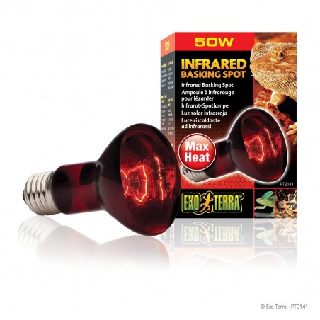 HeatGlo Infrared
