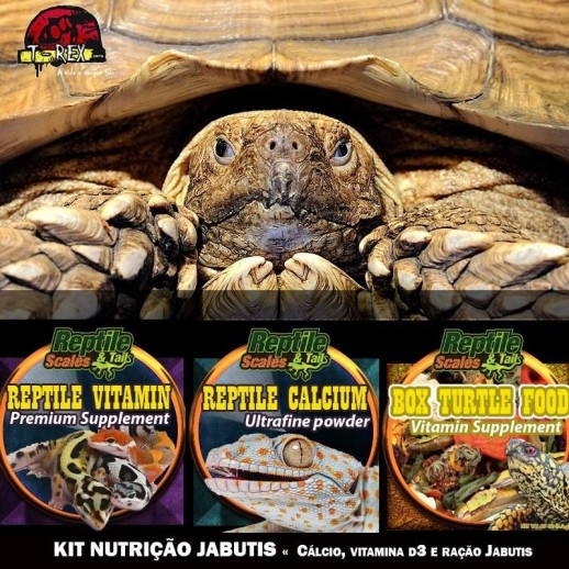 ração para jabutis cálcio e vitamina