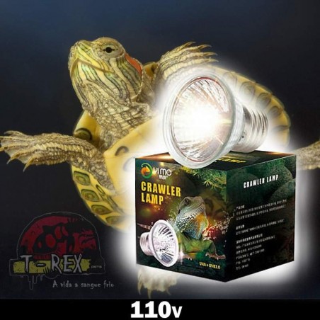 Lampada aquecimento para tartaruga