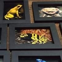 Quadros